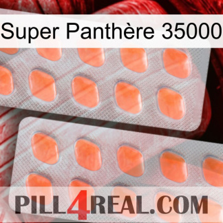 Super Panthère 35000 27